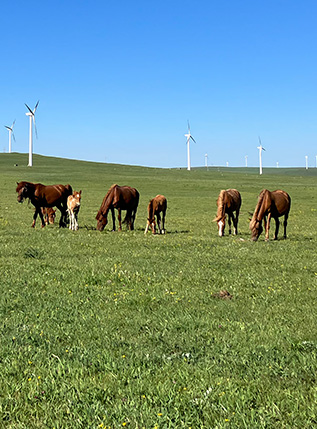 Inner Mongolia Tour