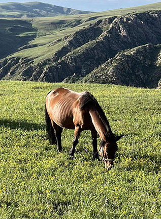 Inner Mongolia Tour