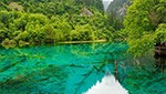 perfect trip to experience Chengdu highlights & Jiuzhaihgou Splendor at its most dynamic (Chengdu /Jiuzhaigou)