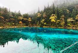 Jiuzhaigou in Autumn