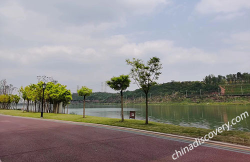 Bike in Chengdu Suburb