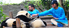 Chengdu Tours