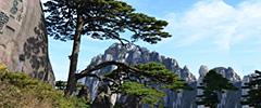 Huangshan Tours