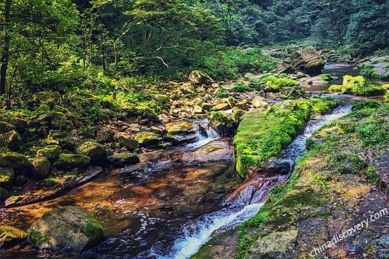 Zhangjiajie Photography