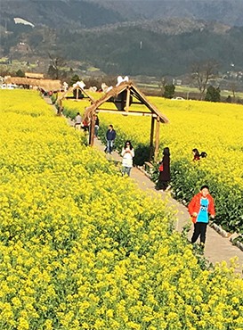 Yunnan Tour