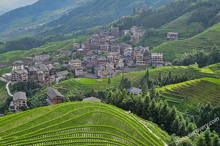 Golden Longji Rice Terrace in Autumn