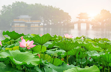 Photography in Hangzhou