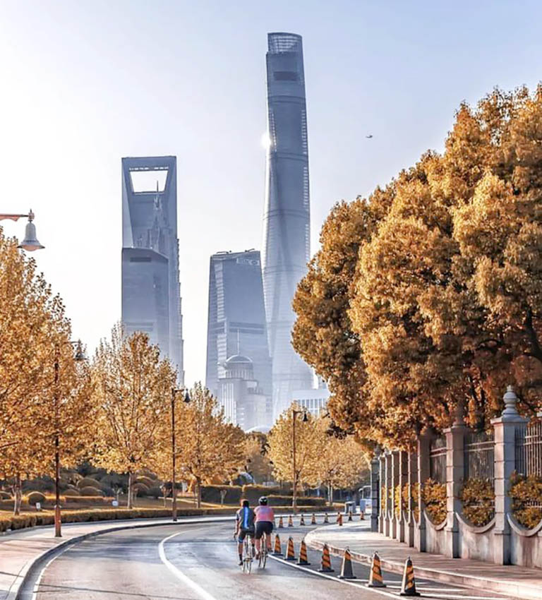 Autumn Scenery in Shanghai How to Plan a Trip to Shanghai