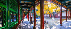 Macau Tours