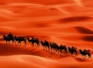 Silk Road