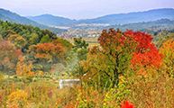 Tachuan Ancient Village