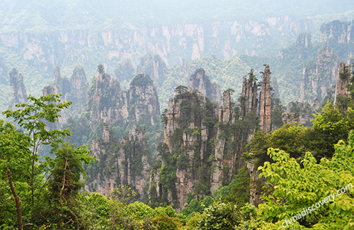 Tianzi Mountain