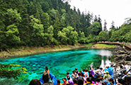 Jiuzhaigou Valley Walking