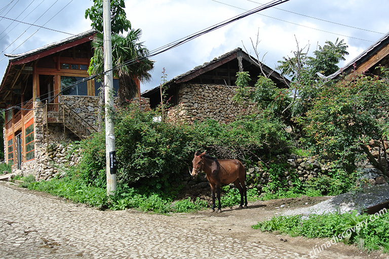 Yuhu Village in Lijiang